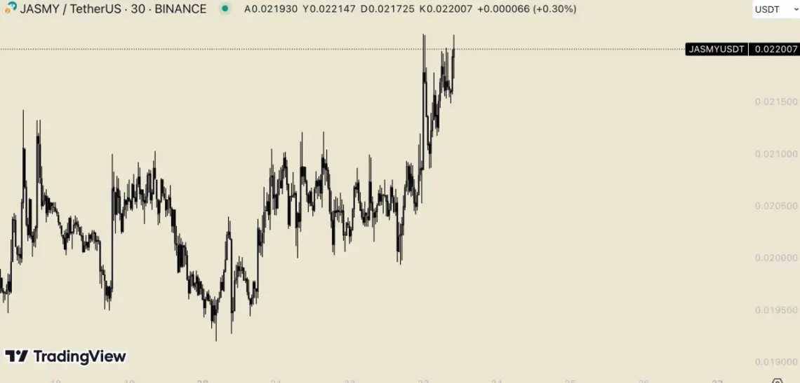 5 Altcoin Boğa Sezonuna Hazır: İştah Artıyor!