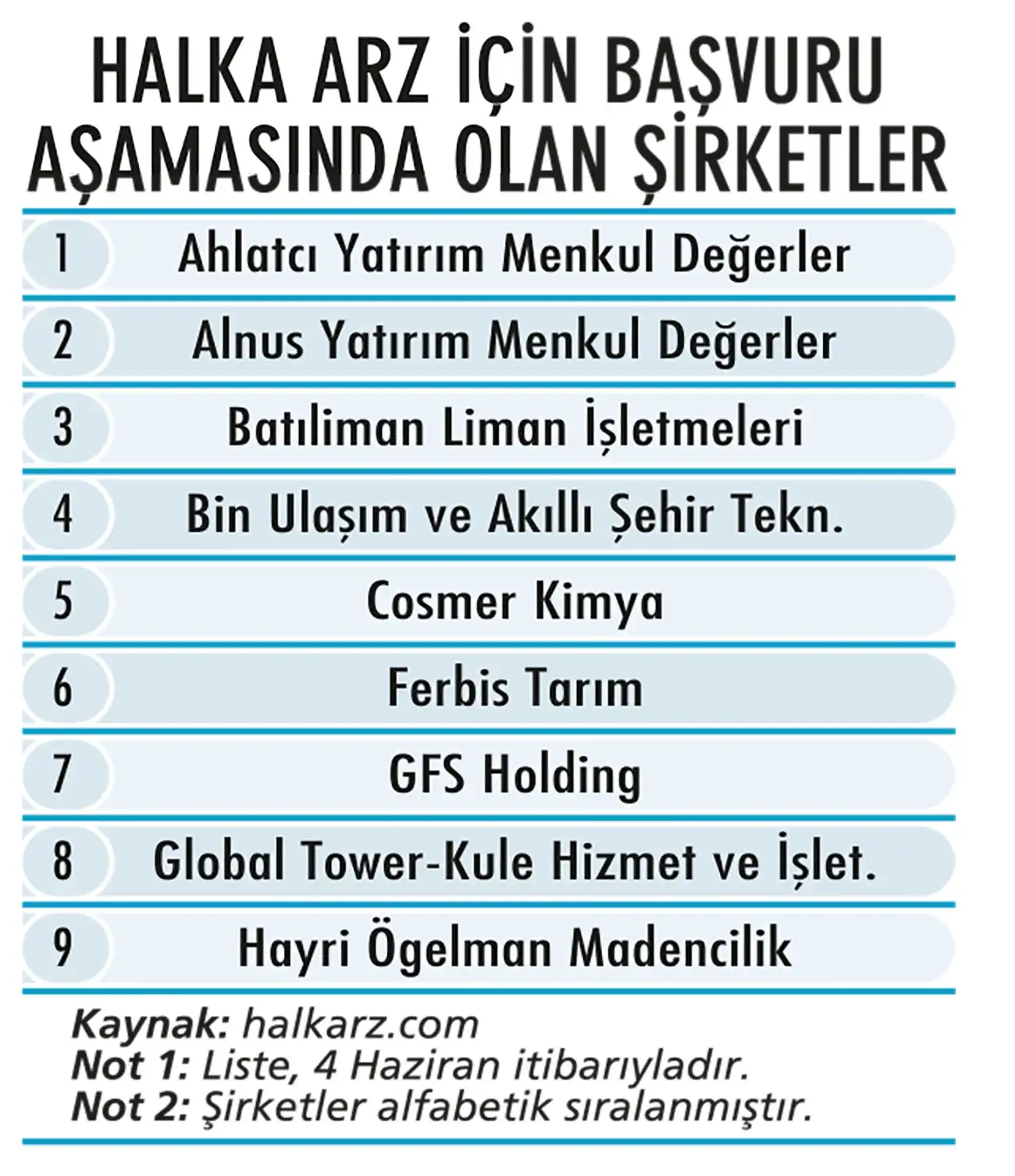 Halka Arzlarda Yükselen Trend: Yatırımcıların Gözdesi