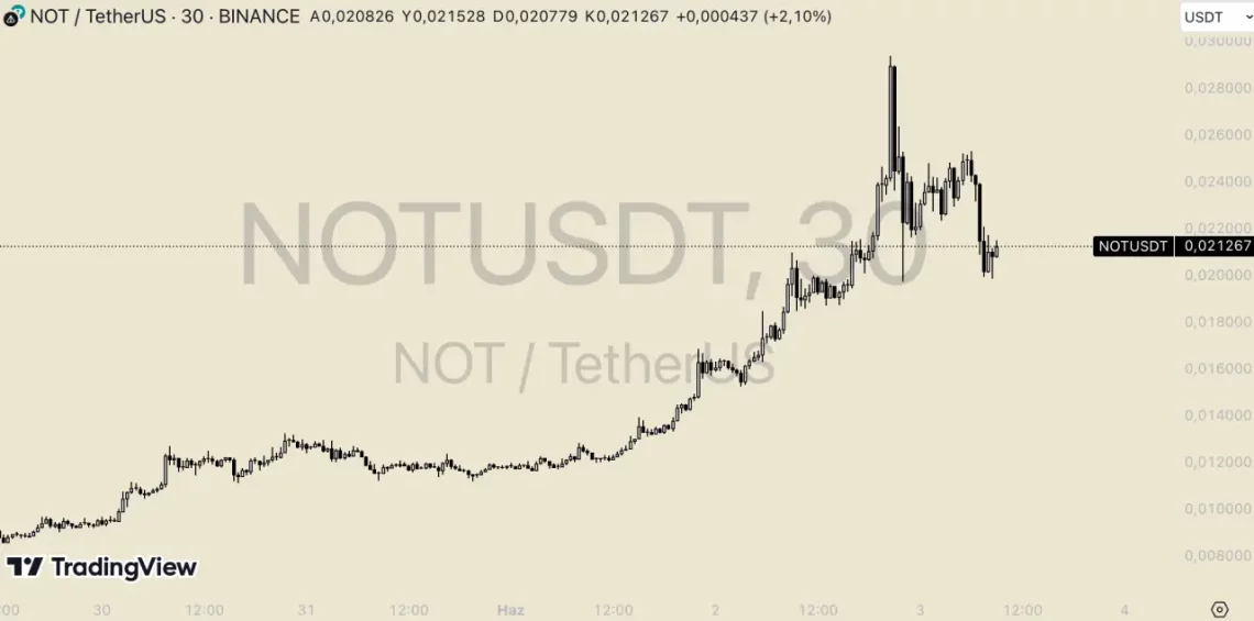 Türkiye'de Yükselen 5 Altcoin: Boğa Sezonuna Hazırlık