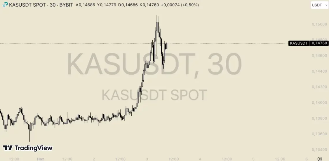 Türkiye'de Yükselen 5 Altcoin: Boğa Sezonuna Hazırlık