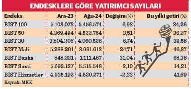 Sermaye Piyasalarında Yatırımcı Profili ve Performans Analizi